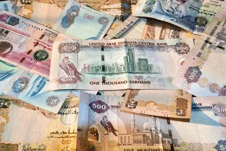 What are the institutions and tools concerned with confronting money laundering crimes in the UAE? What are the institutions and tools concerned with confronting money laundering crimes in the UAE?
